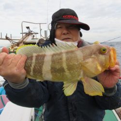 真祐丸 （しんゆうまる） 釣果