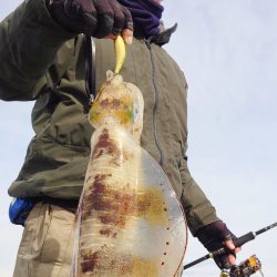 ブルースフィッシングサービス 釣果