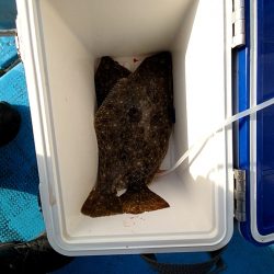 フィッシングガイド りょう 釣果