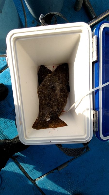 フィッシングガイド りょう 釣果