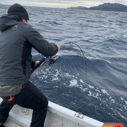 幕島丸 釣果