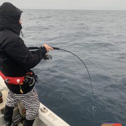 幕島丸 釣果