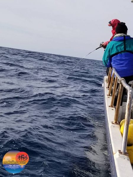 幕島丸 釣果