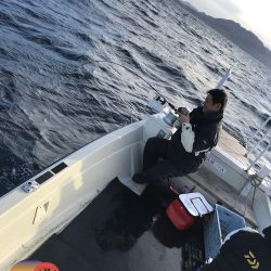 幕島丸 釣果