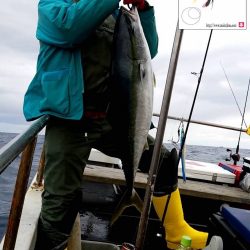 幕島丸 釣果