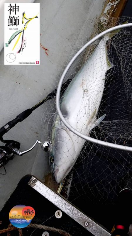 幕島丸 釣果