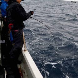 幕島丸 釣果