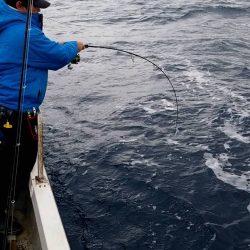 幕島丸 釣果