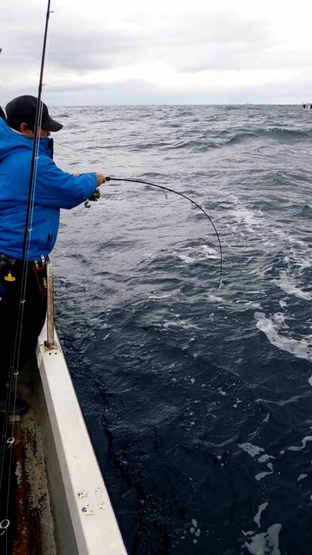 幕島丸 釣果