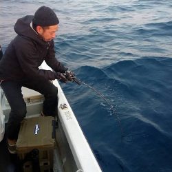 幕島丸 釣果