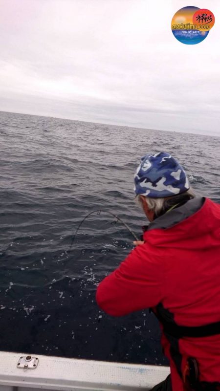 幕島丸 釣果
