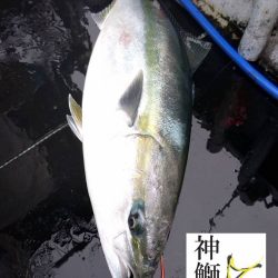 幕島丸 釣果