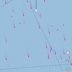 フィッシング キッタカ 釣果