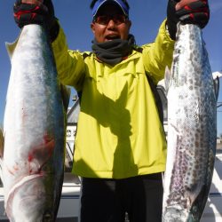 JDI Racing シールズマリンレジャー 釣果