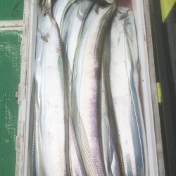 金沢八景鴨下丸 釣果