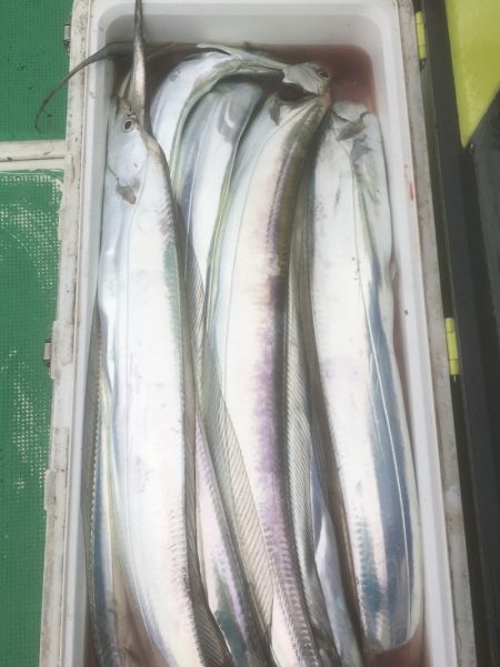 金沢八景鴨下丸 釣果