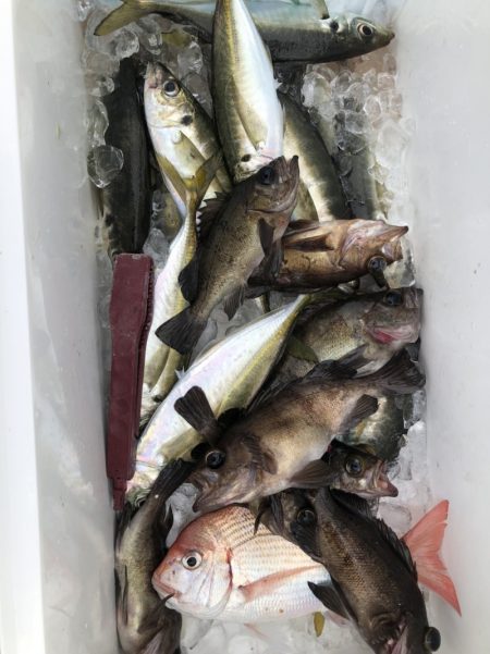 海龍丸（石川） 釣果