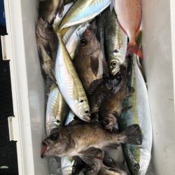 海龍丸（石川） 釣果