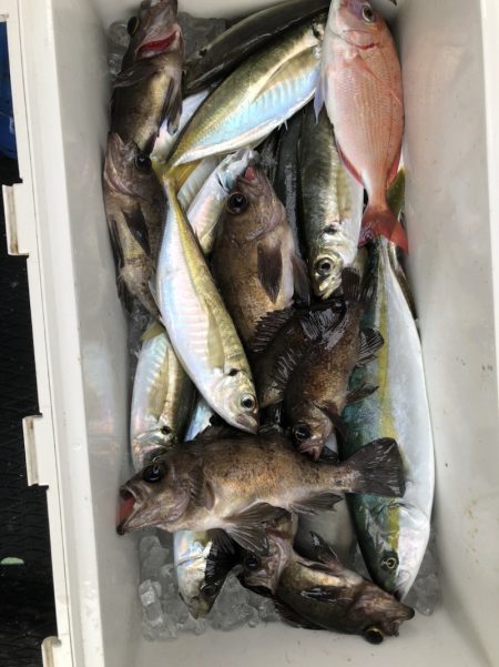 海龍丸（石川） 釣果