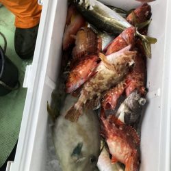 海龍丸（石川） 釣果