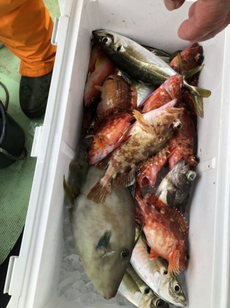 海龍丸（石川） 釣果