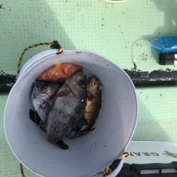 海龍丸（石川） 釣果