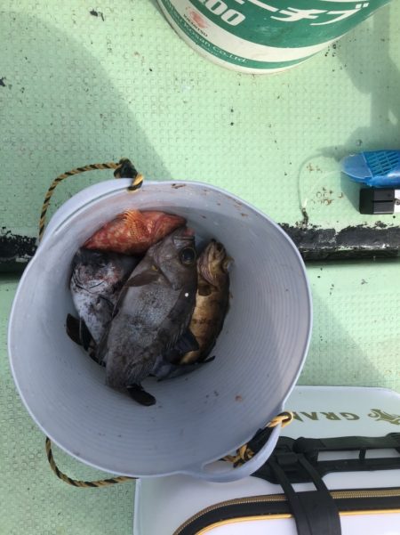 海龍丸（石川） 釣果