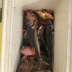 海龍丸（石川） 釣果