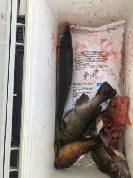 海龍丸（石川） 釣果