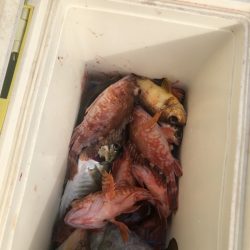 海龍丸（石川） 釣果