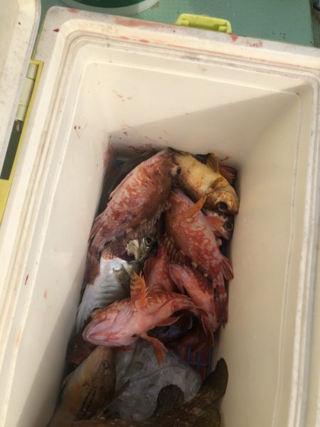 海龍丸（石川） 釣果
