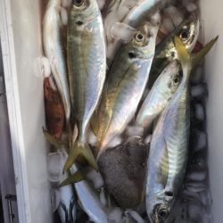 海龍丸（石川） 釣果