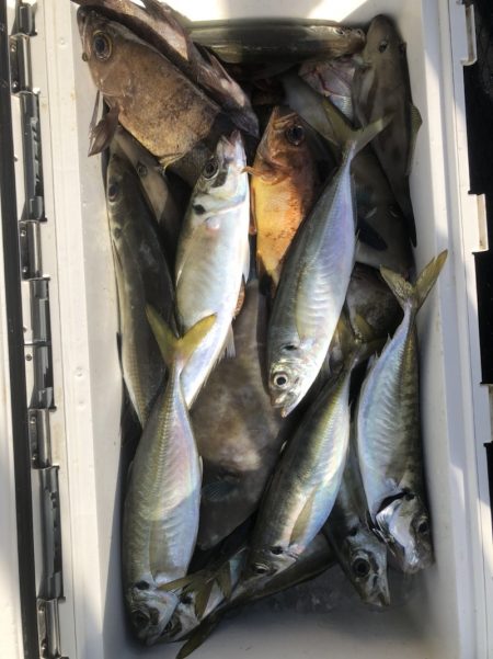 海龍丸（石川） 釣果