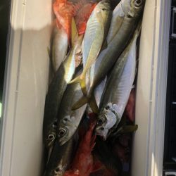 海龍丸（石川） 釣果