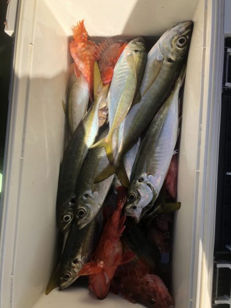 海龍丸（石川） 釣果