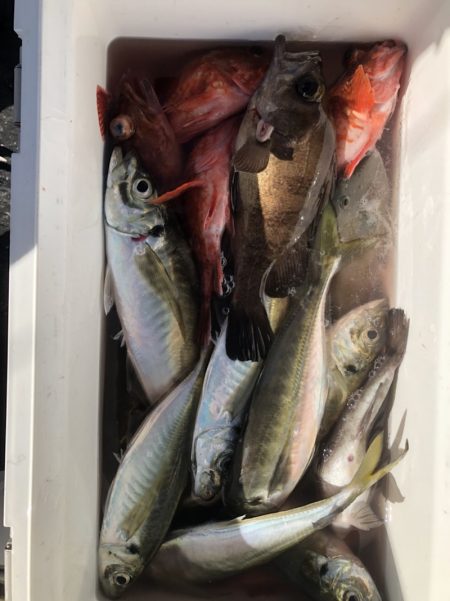 海龍丸（石川） 釣果