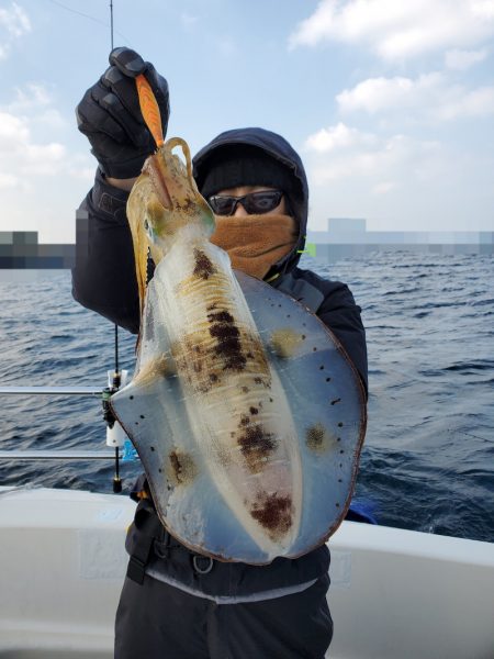 ソルトウォーターガイドフレンズ 釣果