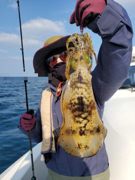 ソルトウォーターガイドフレンズ 釣果