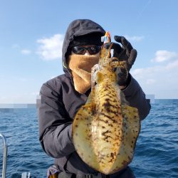 ソルトウォーターガイドフレンズ 釣果