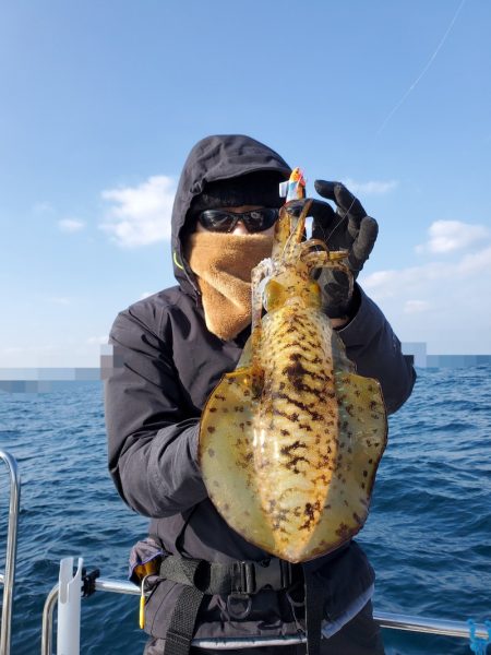 ソルトウォーターガイドフレンズ 釣果