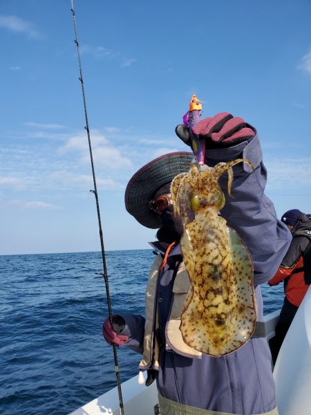 ソルトウォーターガイドフレンズ 釣果