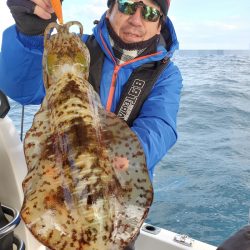 ソルトウォーターガイドフレンズ 釣果