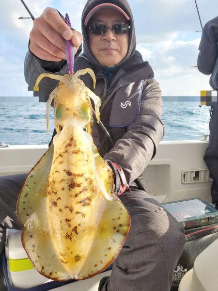 ソルトウォーターガイドフレンズ 釣果