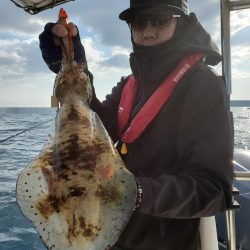 ソルトウォーターガイドフレンズ 釣果