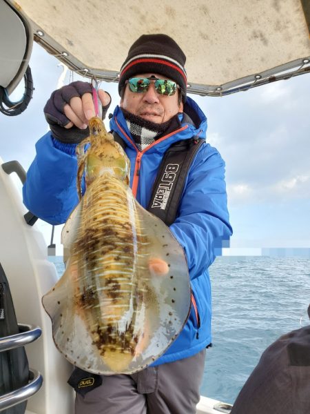 ソルトウォーターガイドフレンズ 釣果