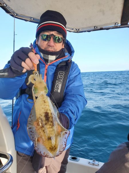 ソルトウォーターガイドフレンズ 釣果