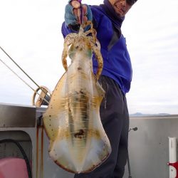 ブルースフィッシングサービス 釣果