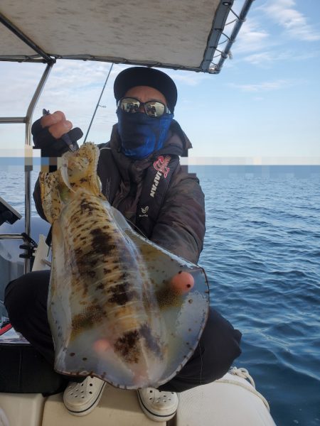 ソルトウォーターガイドフレンズ 釣果