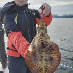 ソルトウォーターガイドフレンズ 釣果