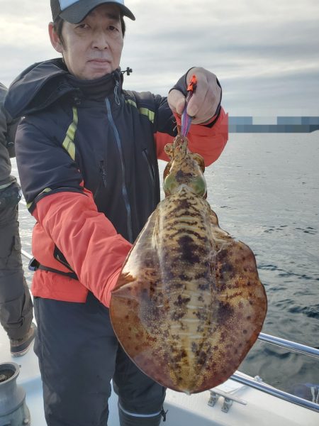 ソルトウォーターガイドフレンズ 釣果